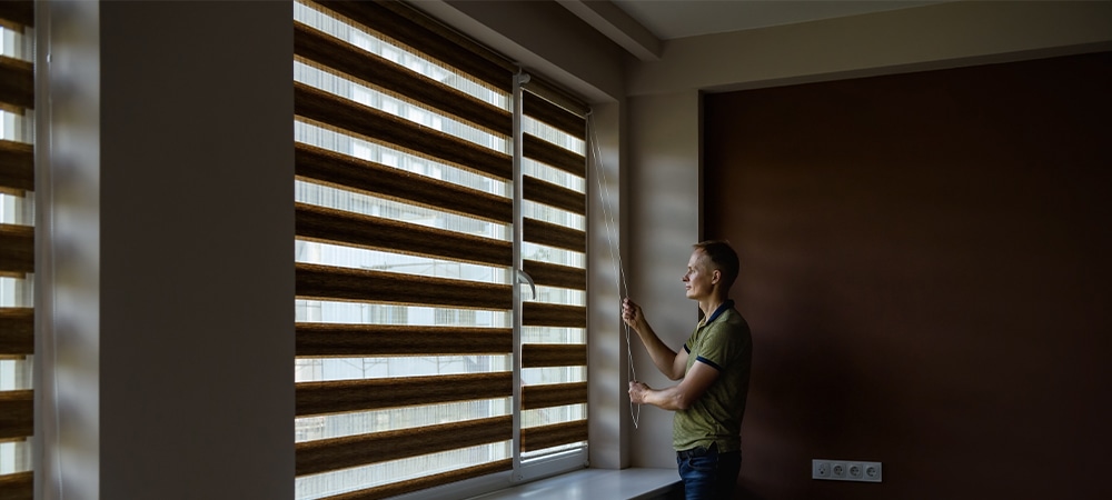 functionality of zebra blinds