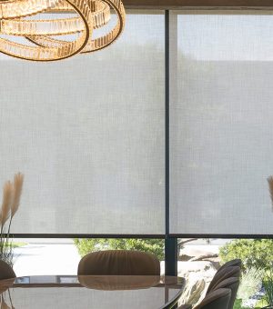 the modern roller shade