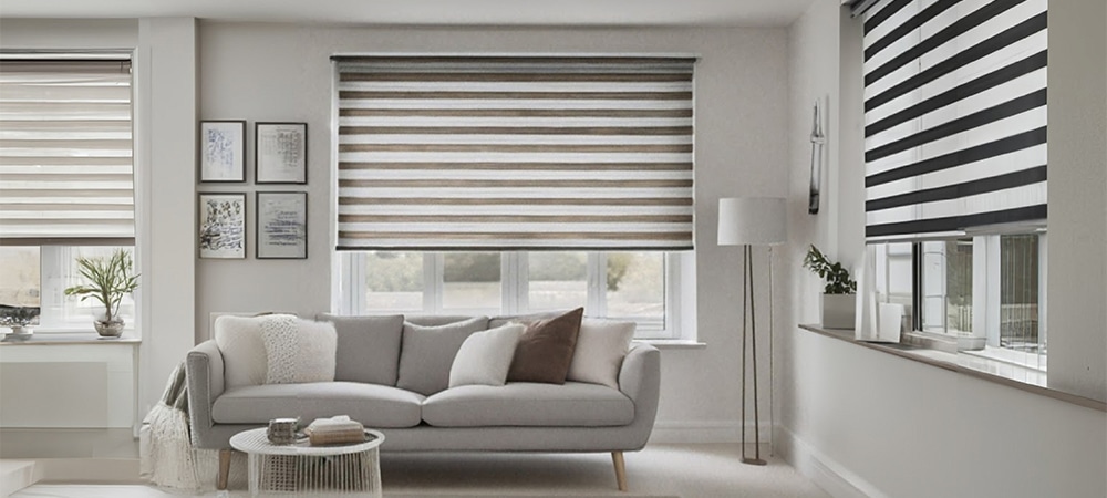 zebra blinds for living room windows