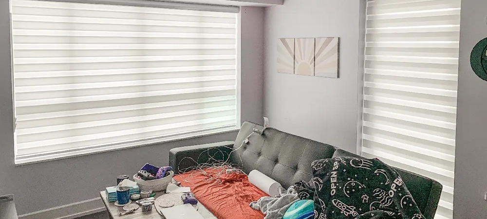 zebra blinds on windows, coach and table in small room