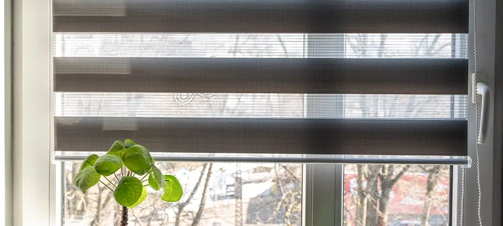 Window with modern zebra roller blinds partially closed and a small green houseplant on the windowsill. Interior scene with daylight filtering through layered blinds creating a soft light pattern.