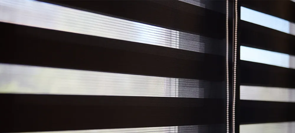close up view of zebra blind