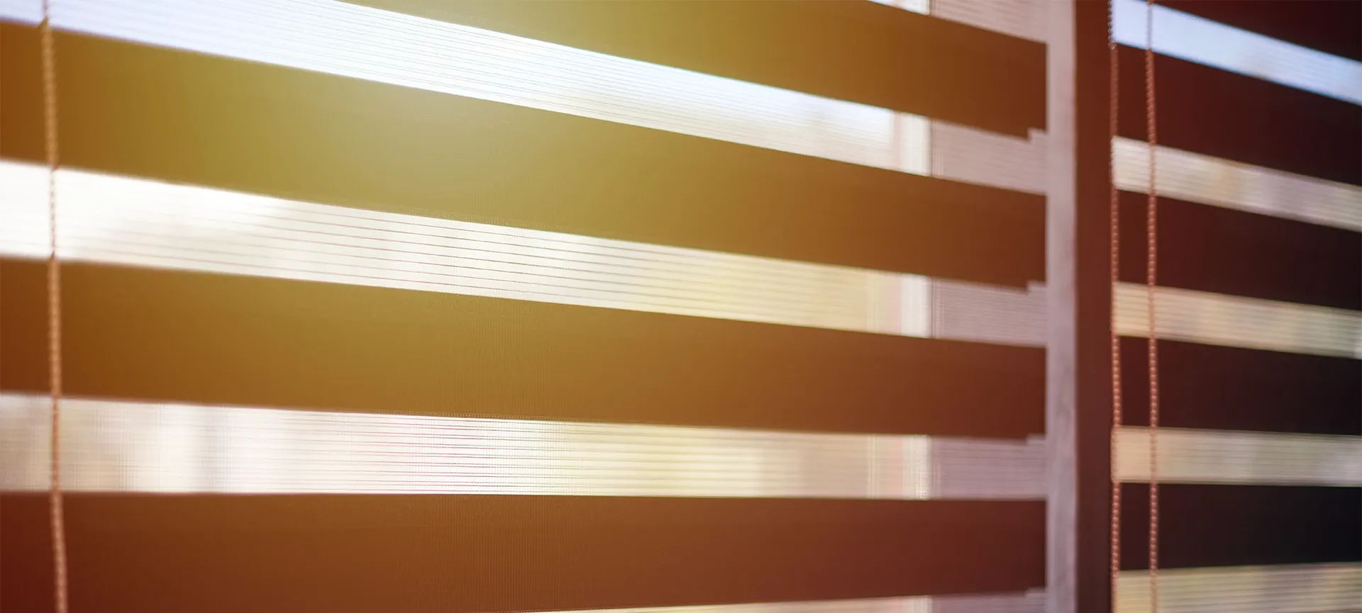 light control zebra blinds