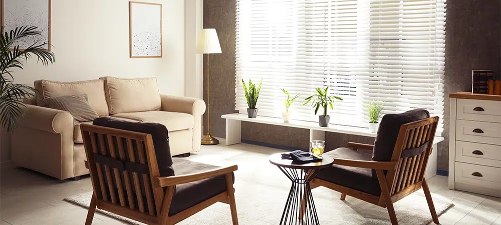 Cozy Living Room with Modern Furniture and