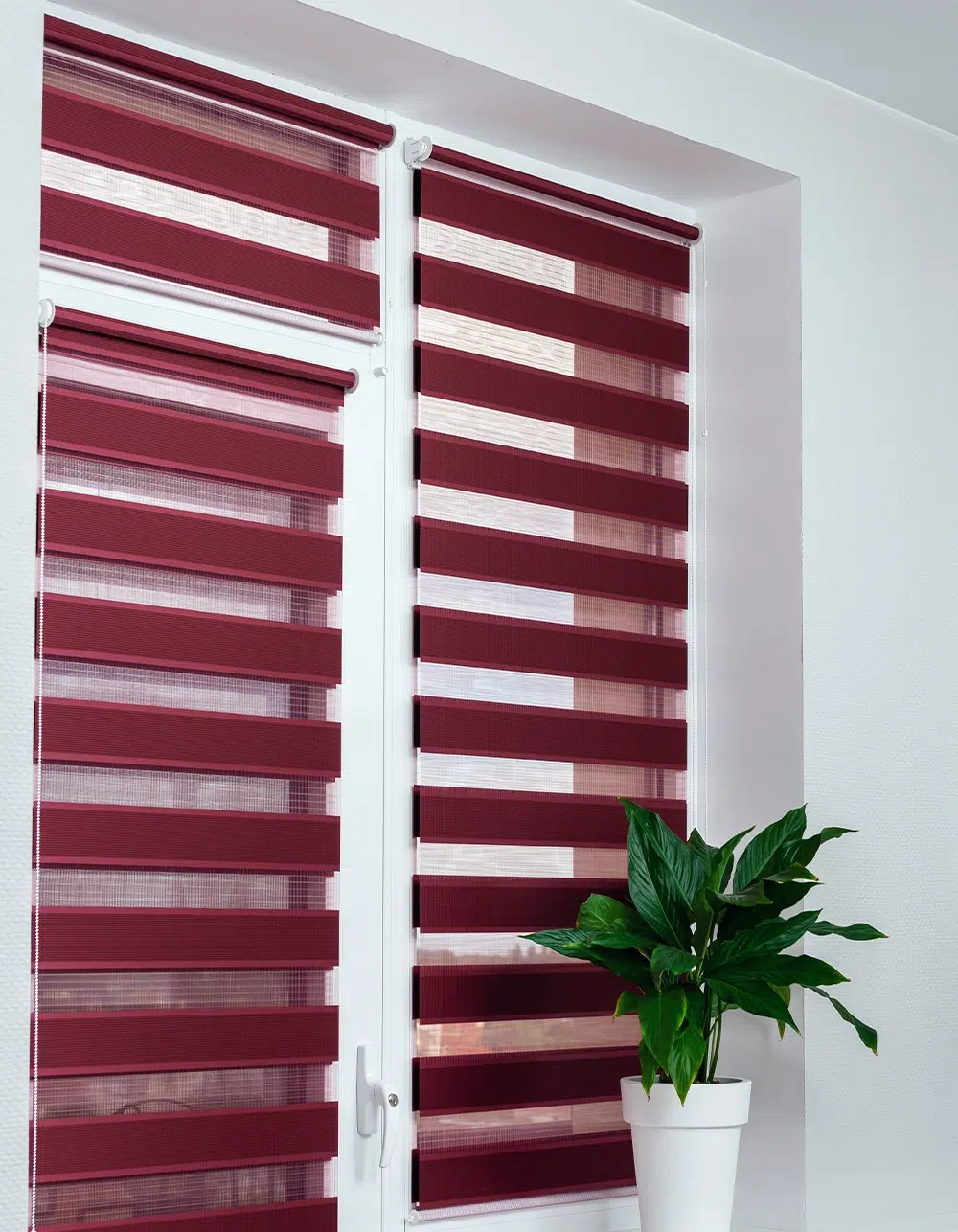 Roll Blinds on the windows to protect sunlight and lighting to decorate the apartment