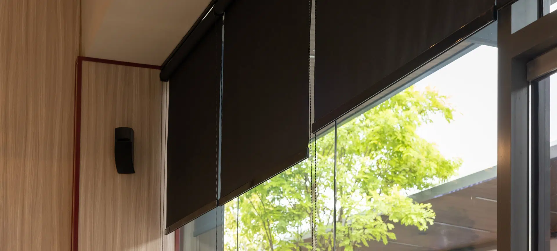 A window with black blinds and a tree outside