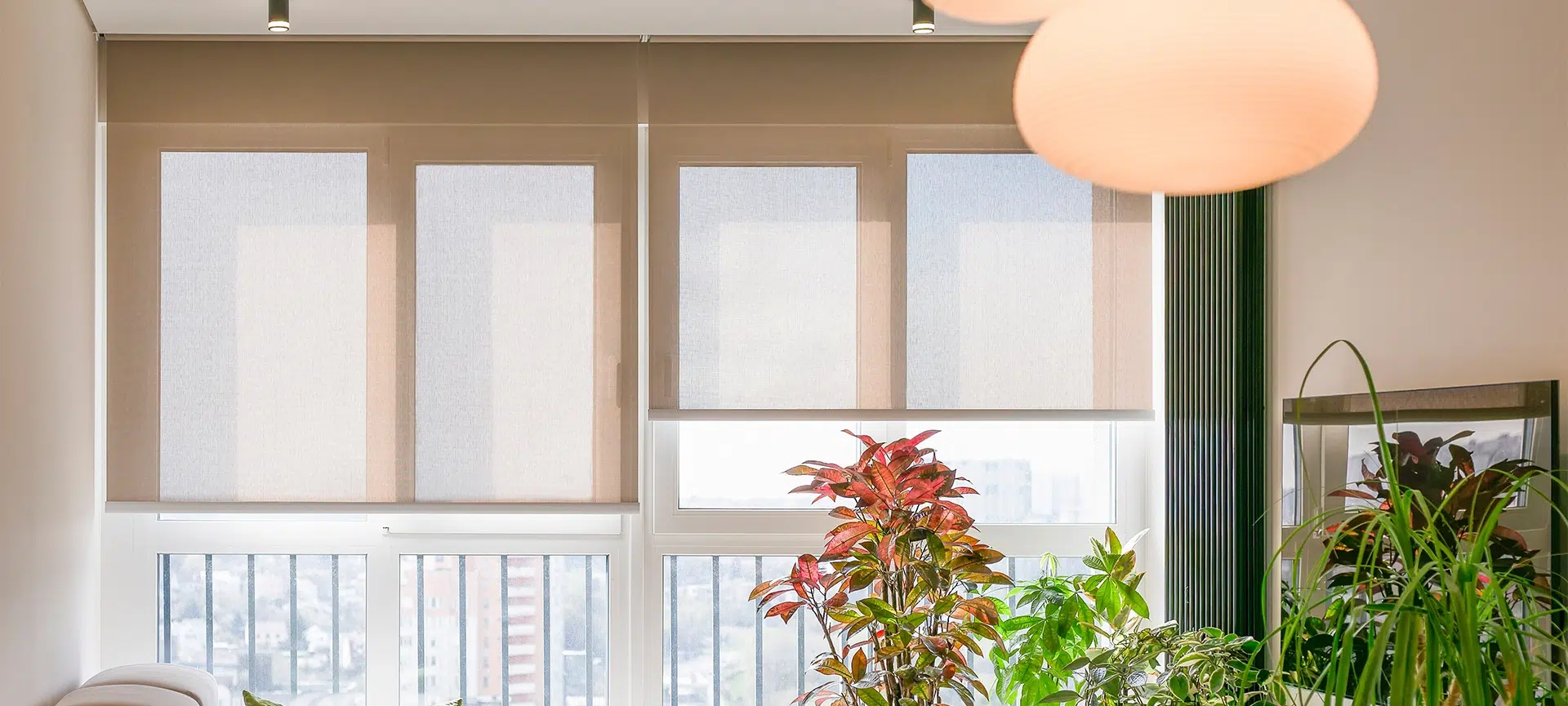 Roller blinds cover large windows in a bright, modern living room filled with lush green plants. Motorized sunscreen shades on the high floor, smart home connected. Screen fabric curtains.